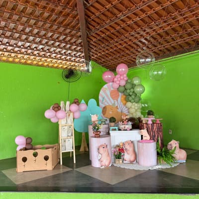 Decoração de festa infantil tema Jardim em Porto Velho
